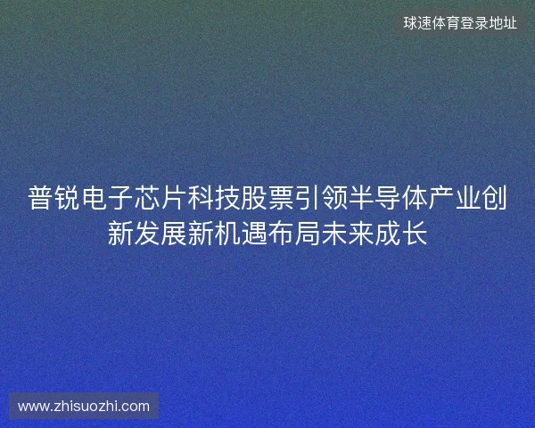 普锐电子芯片科技股票引领半导体产业创新发展新机遇布局未来成长
